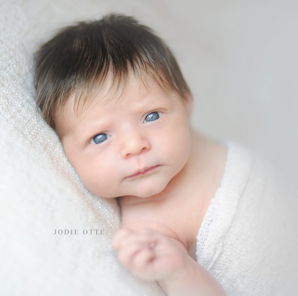 harford County newborn photographer